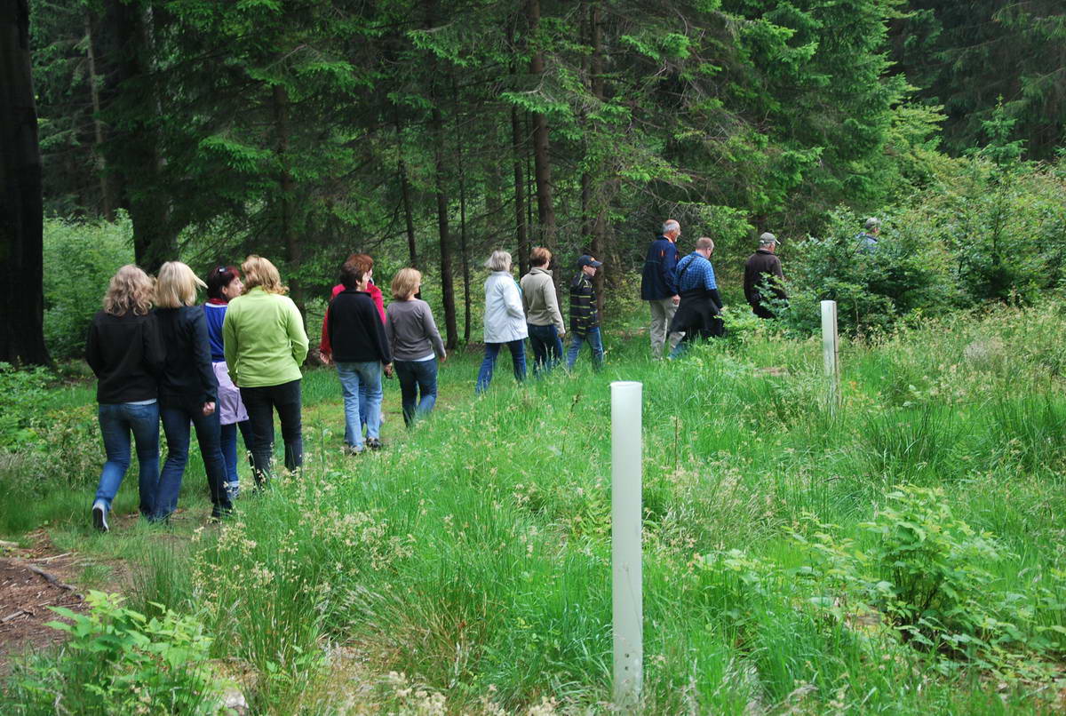 2012-06-10 Hohenroth 099.jpg